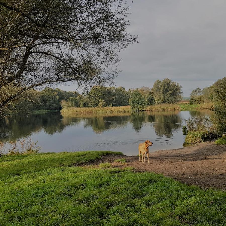 Вілла In De Bocht Гейло Екстер'єр фото